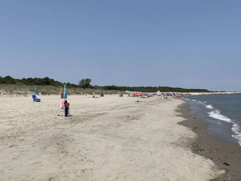 Mare Pineta 42191