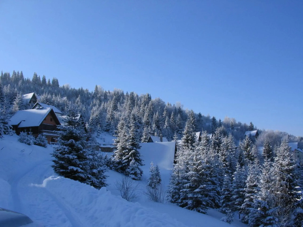 Villa Kostic Kopaonik