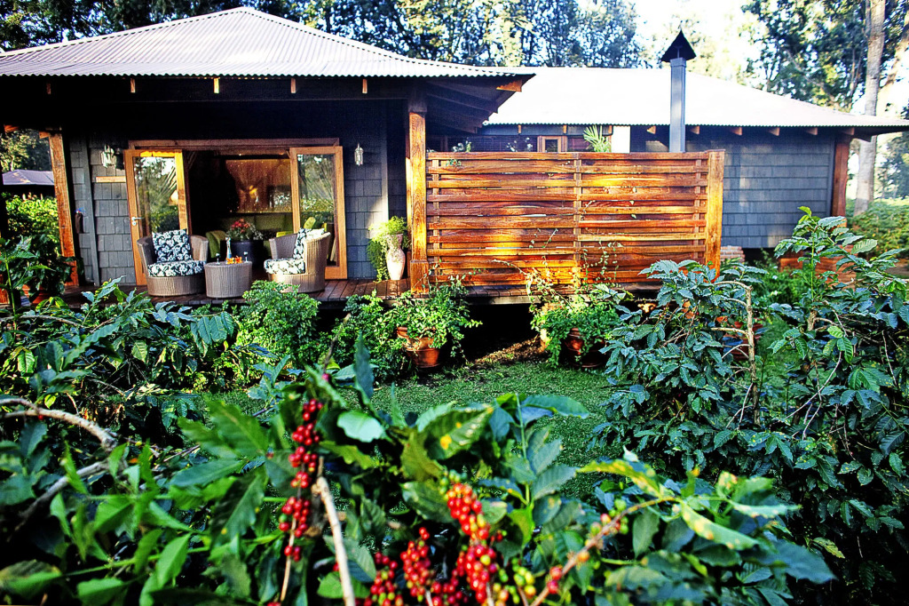 Elewana Arusha Coffee Lodge