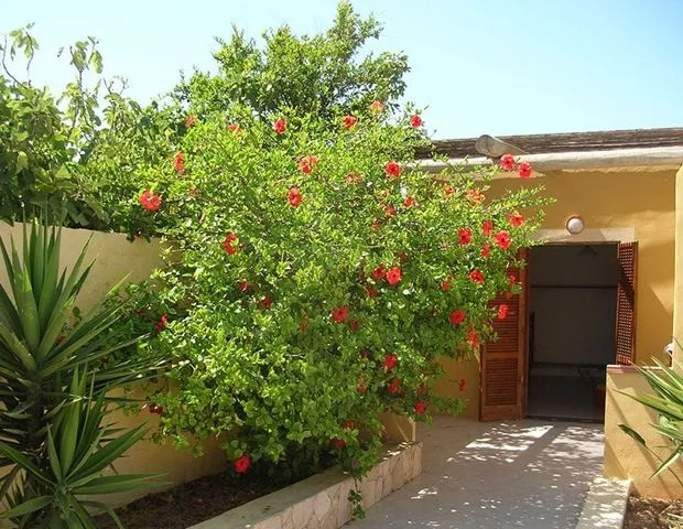 Residence Acquamarina