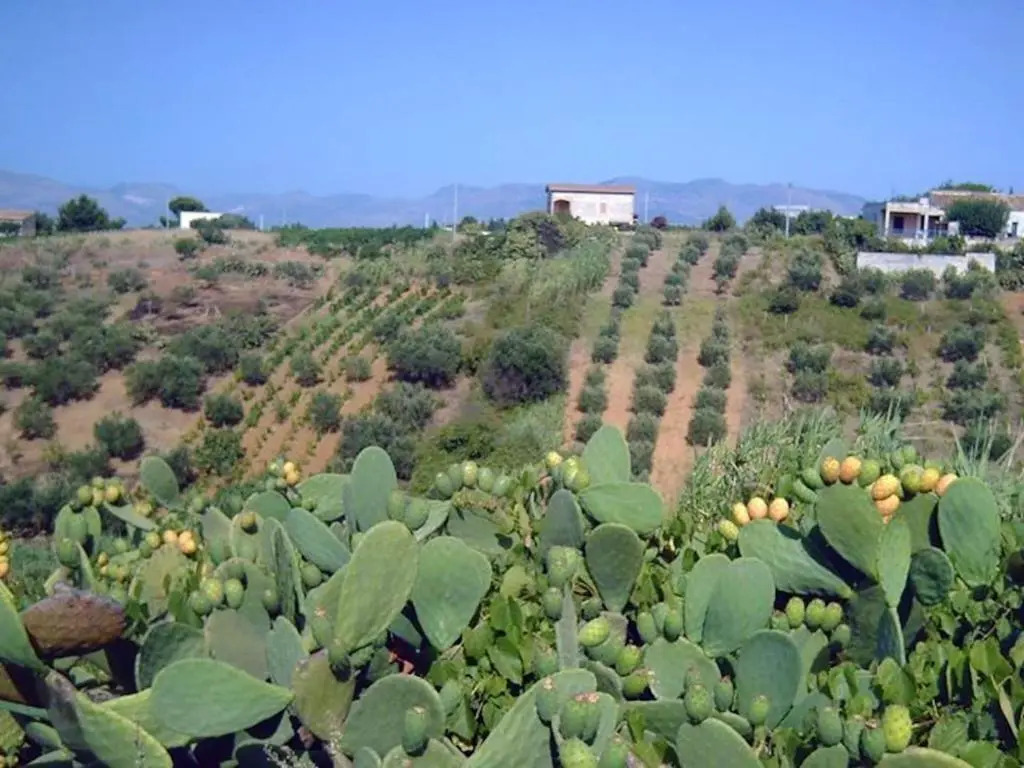 2 bedrooms appartement with sea view balcony and wifi at Castellammare del Golfo 1 km away from the beach C
