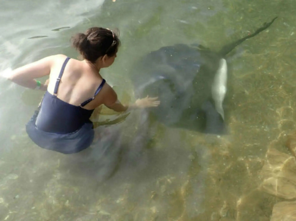 Lochmara Lodge - 20mins by boat from Picton