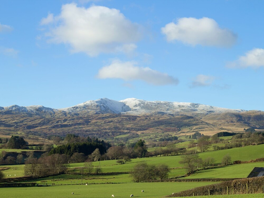 Cyffdy Cottage - Tegid