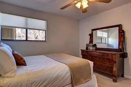 Five Star Properties Silverthorne
