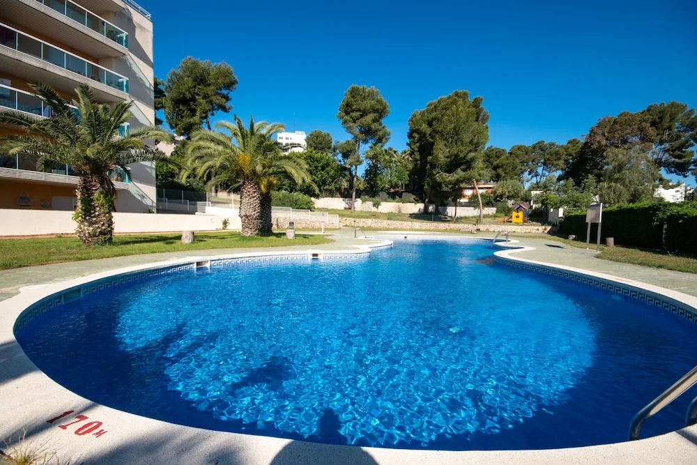 Gocosta Siesta Dorada Family 1