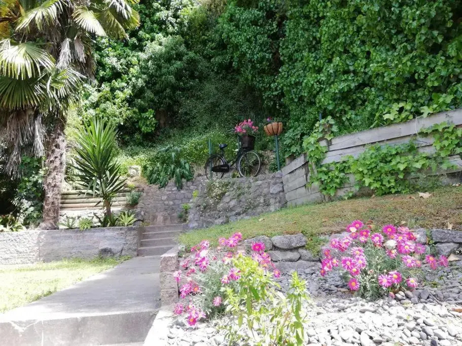 Shakespeare Cottage
