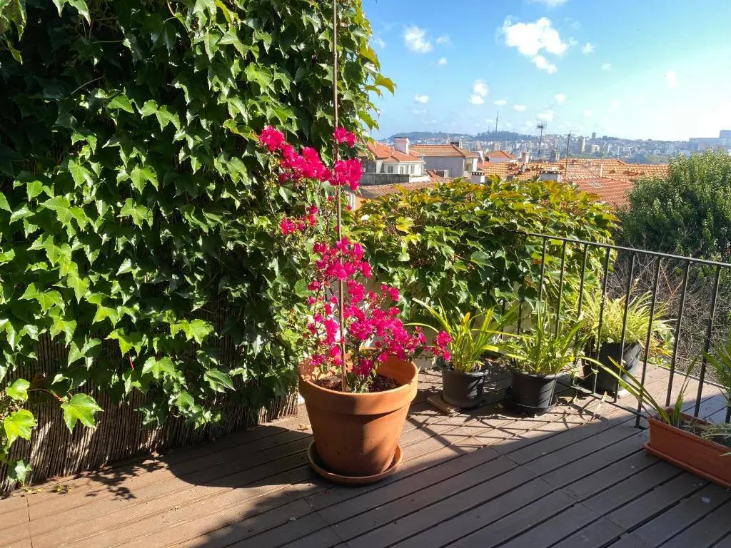 Casa 45 Porto