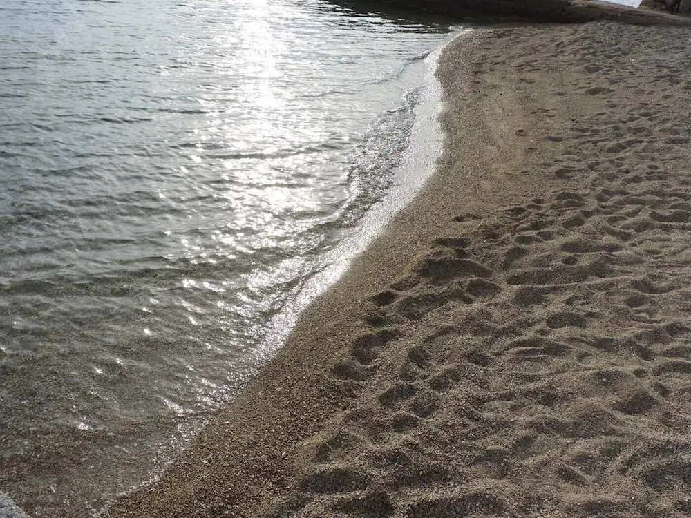 Pet - 20m From the sea - H