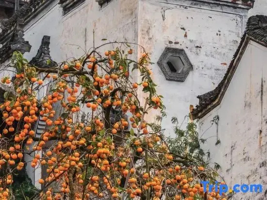 Yunshuju Guesthouse (Wuyuan Muling)