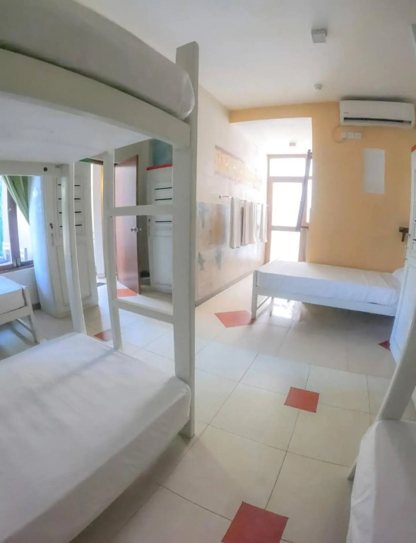 The Youth Hostel - It's a Youth Fame