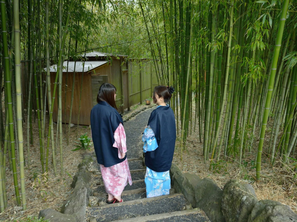 Narashino no sato Gyokusui -6 years or older