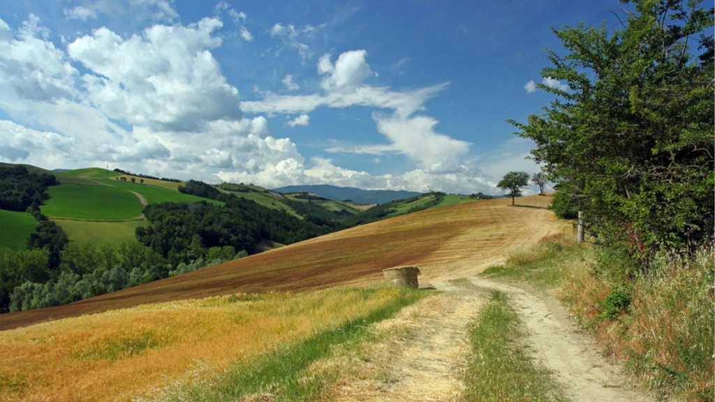 Nice Independent Country House With Pool and View on the Castle-cascina Arcangelo