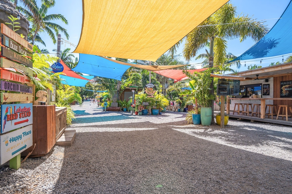 Island Surf 304 - Modern Renovation, Must See Ocean View, Cool Split AC, Wi-fi !