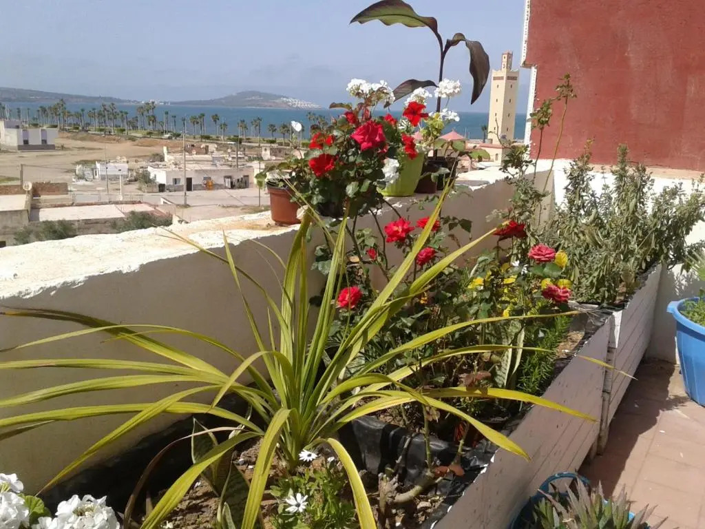 Sara House Nador
