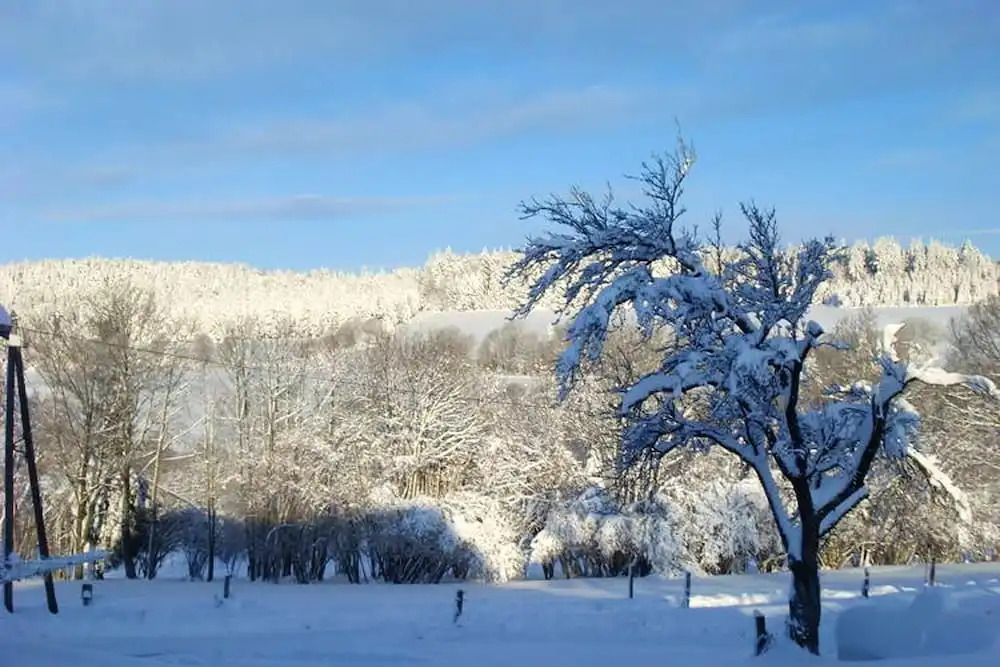 House With 3 Bedrooms in Girmont-val-d'ajol, With Wonderful Mountain V
