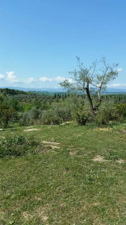 Appartamento Camelia a Castelfalfi