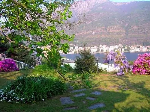 B&B Vaemenia