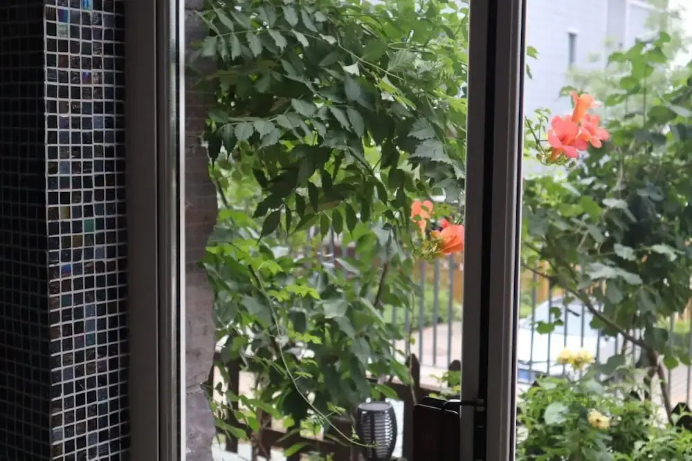 Atrium Fengzhu Homestay