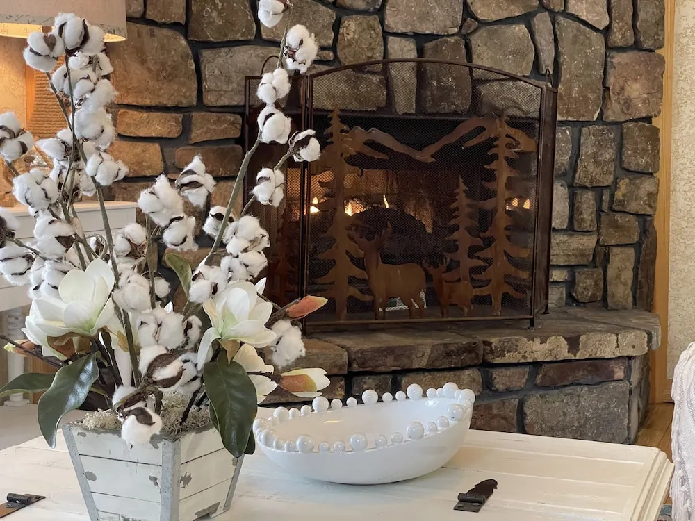 C3 - Mountain Harbor Lodge cottage on Lake Ouachita