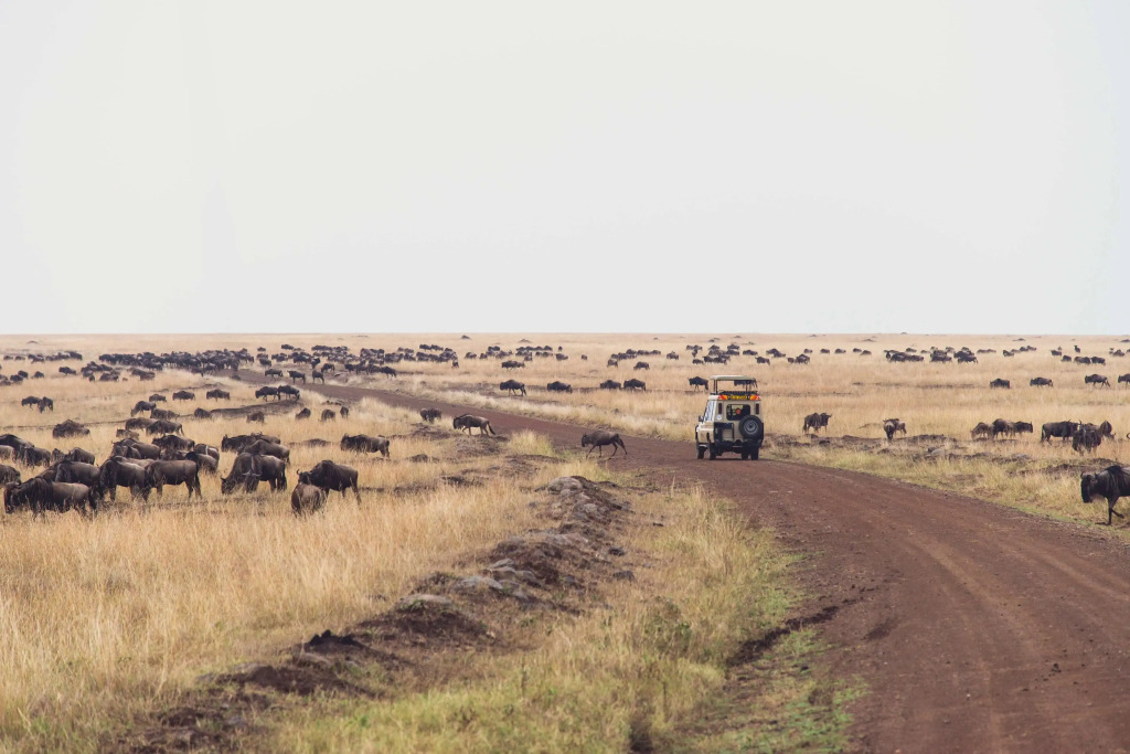 Mara Serena Safari Lodge