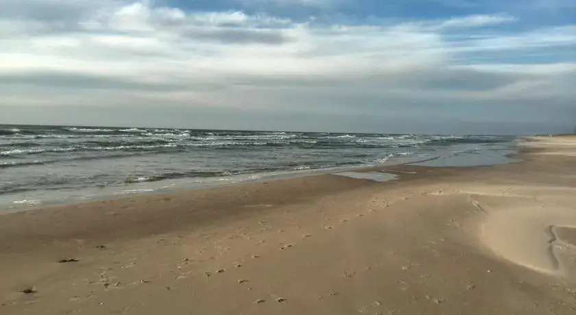 Tomkuva