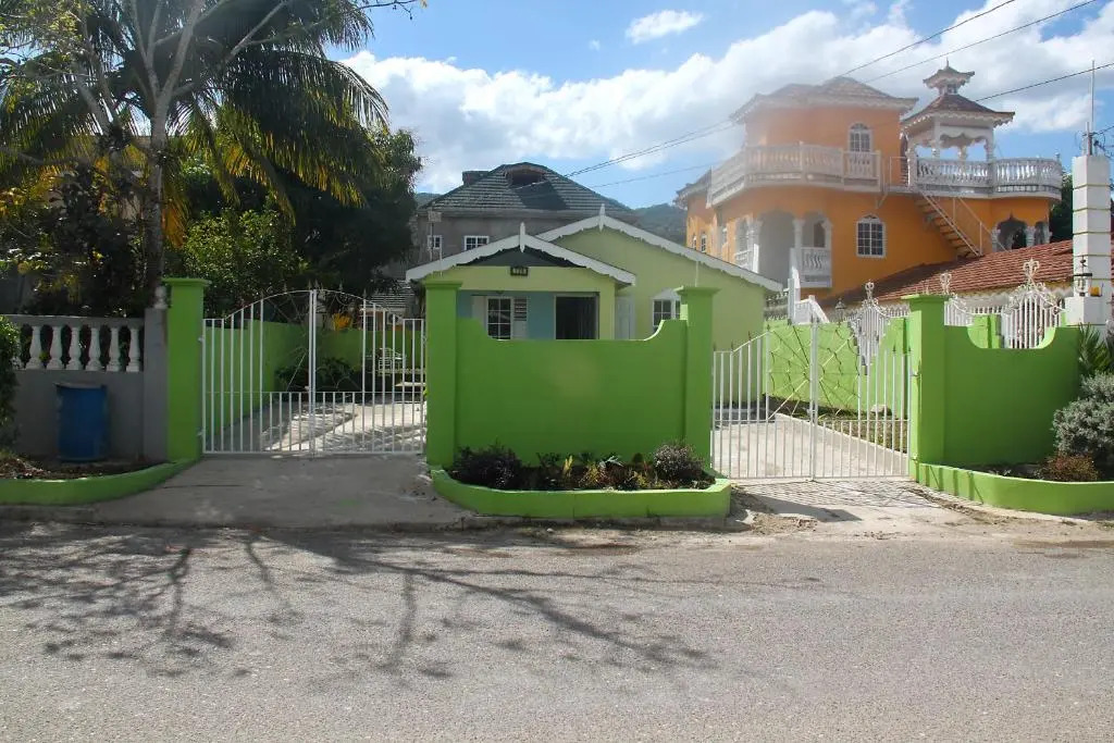 Wild Palm Villa Cozy 2BR/1BA Bungalow w/ Backyard Oasis