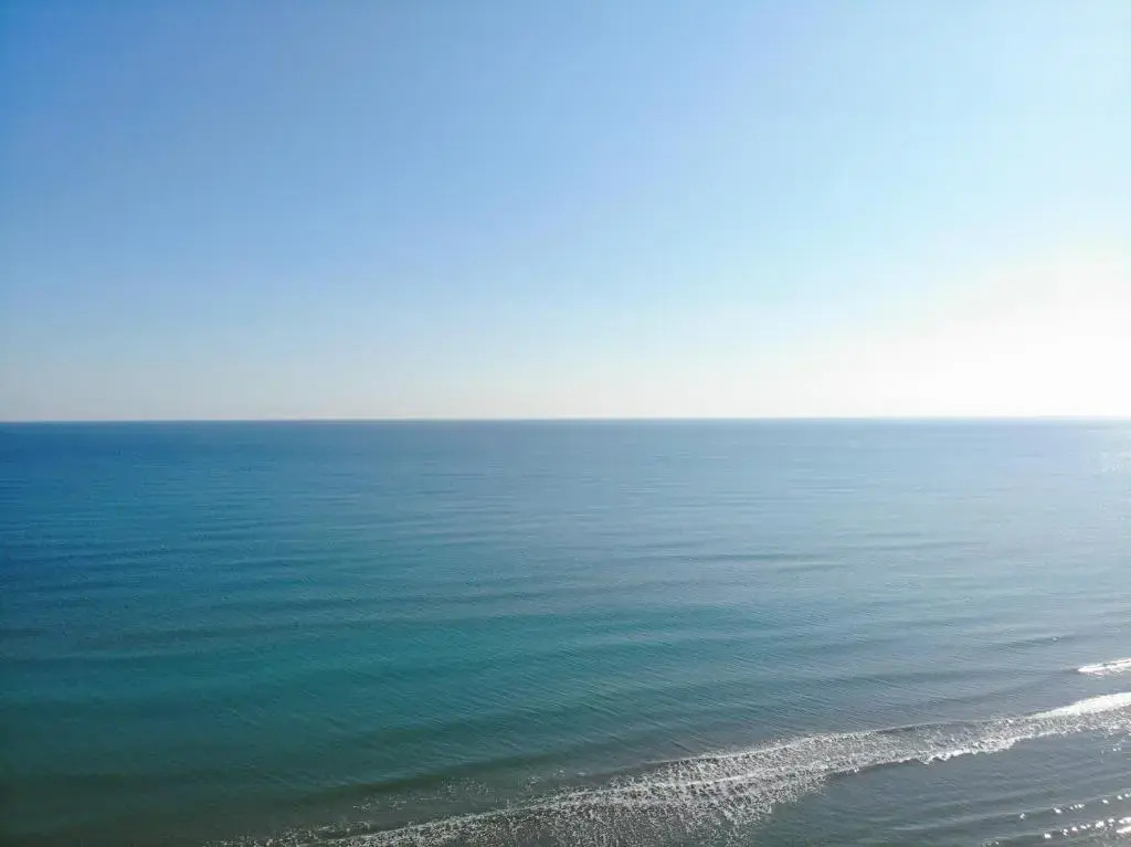Seaview studio plus PP at Beach Residence