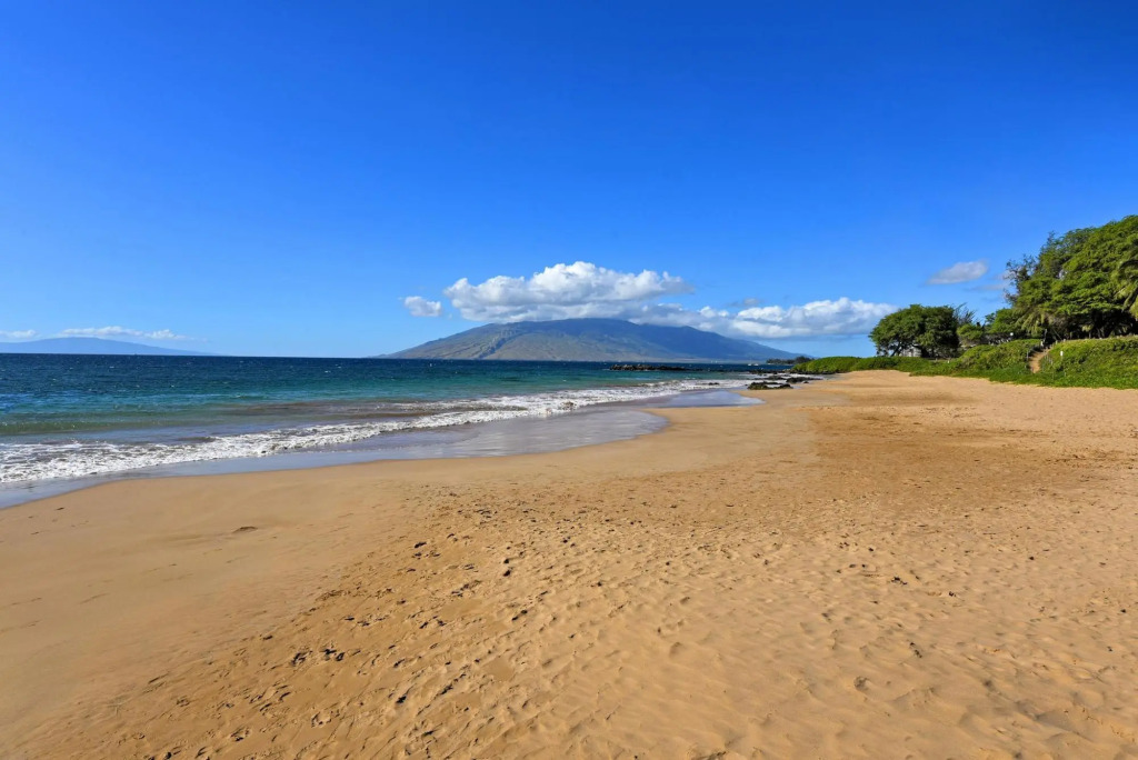 Kamaole Sands 1101 in Kihei