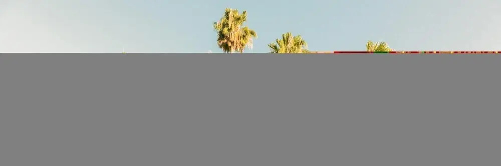 The Wesley Flat 8 in Palm Springs