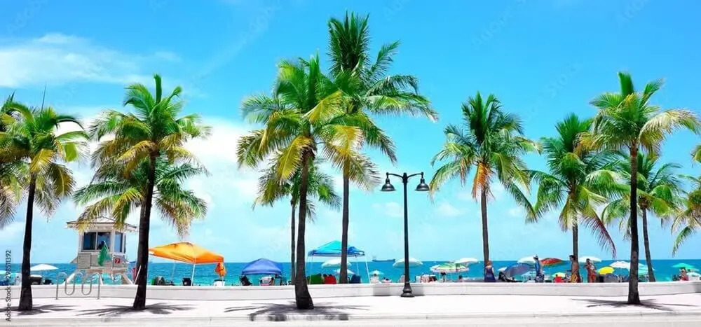 Your Miami Base With Free Parking