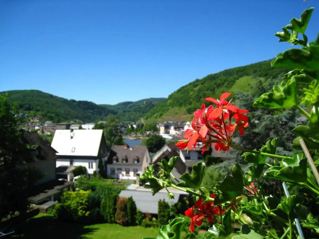 Ferienwohnung Burgblick