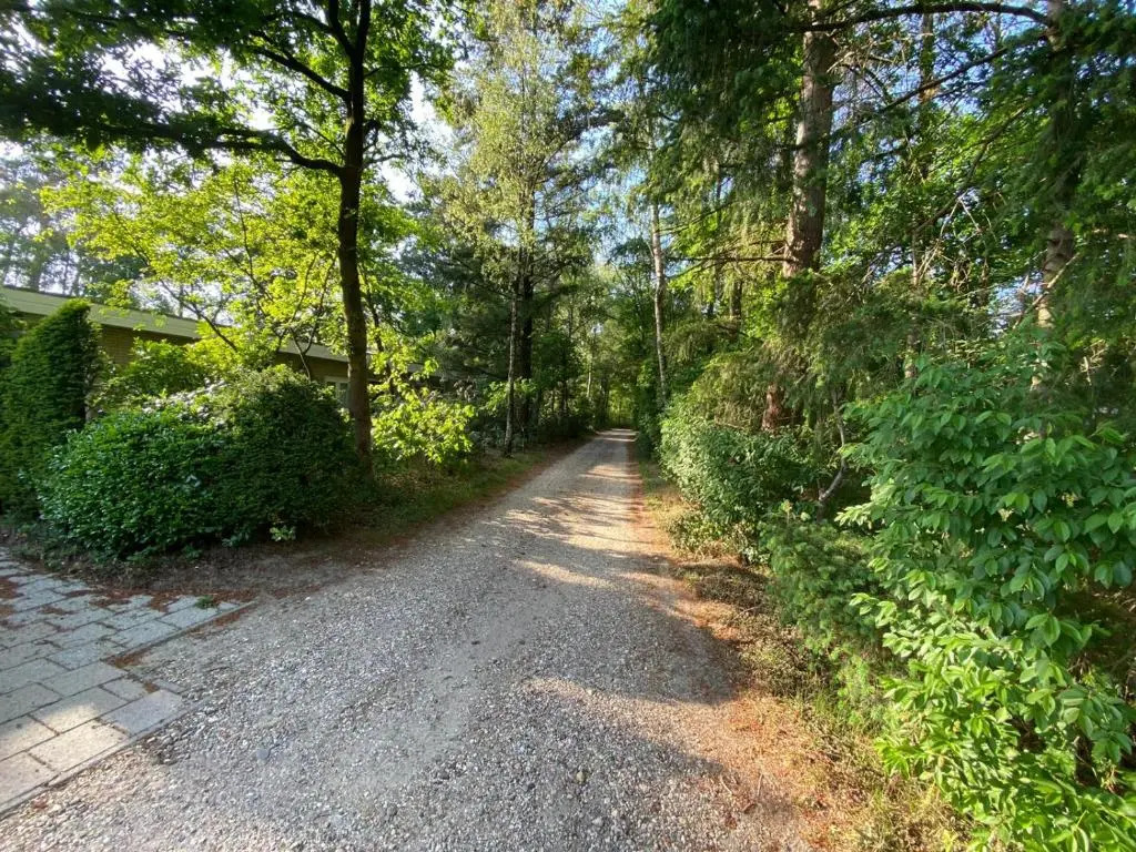 Comfortabel tot rust komen in het Veluwse bos