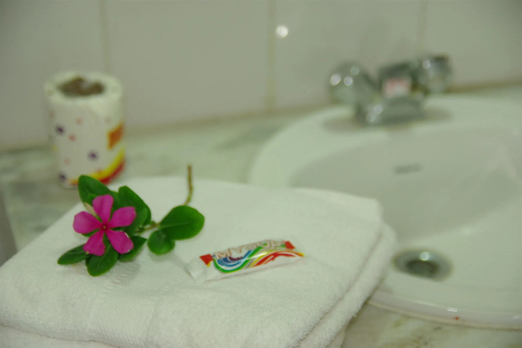Hotel Zen