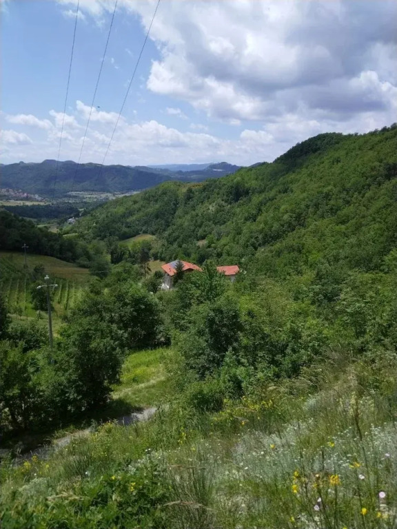 Il Tesoro di MiRo