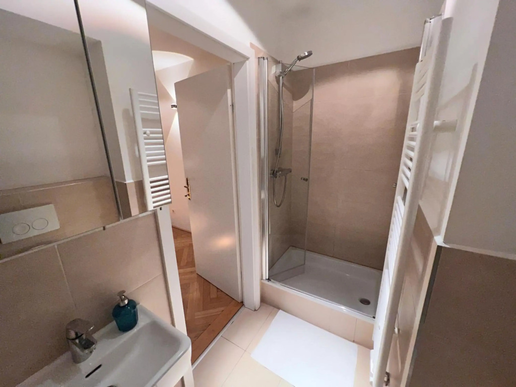 Exclusive Apartment Center Vienna