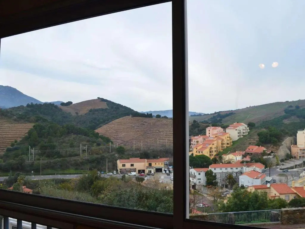 Appartement Banyuls-sur-Mer, 2 pièces, 4 personnes - FR-1-225C-26