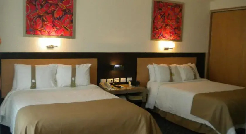 Holiday Inn San Luis Potosi-Quijote