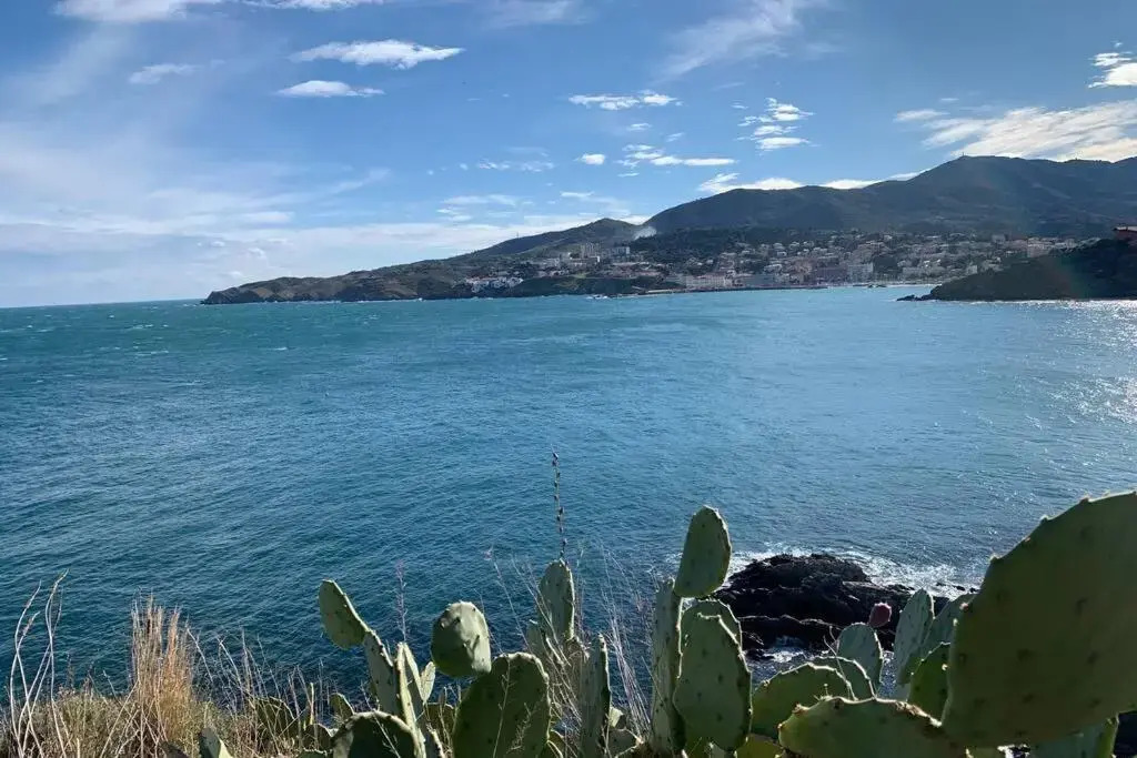 Attique à Banyuls - vue mer et montagne