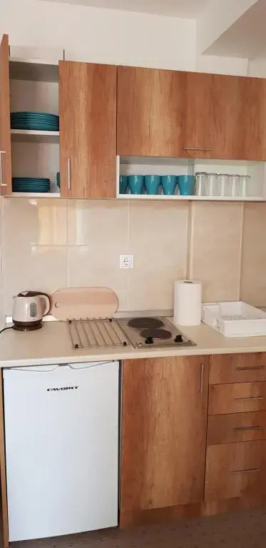 Dobricin konak, Apartman 202