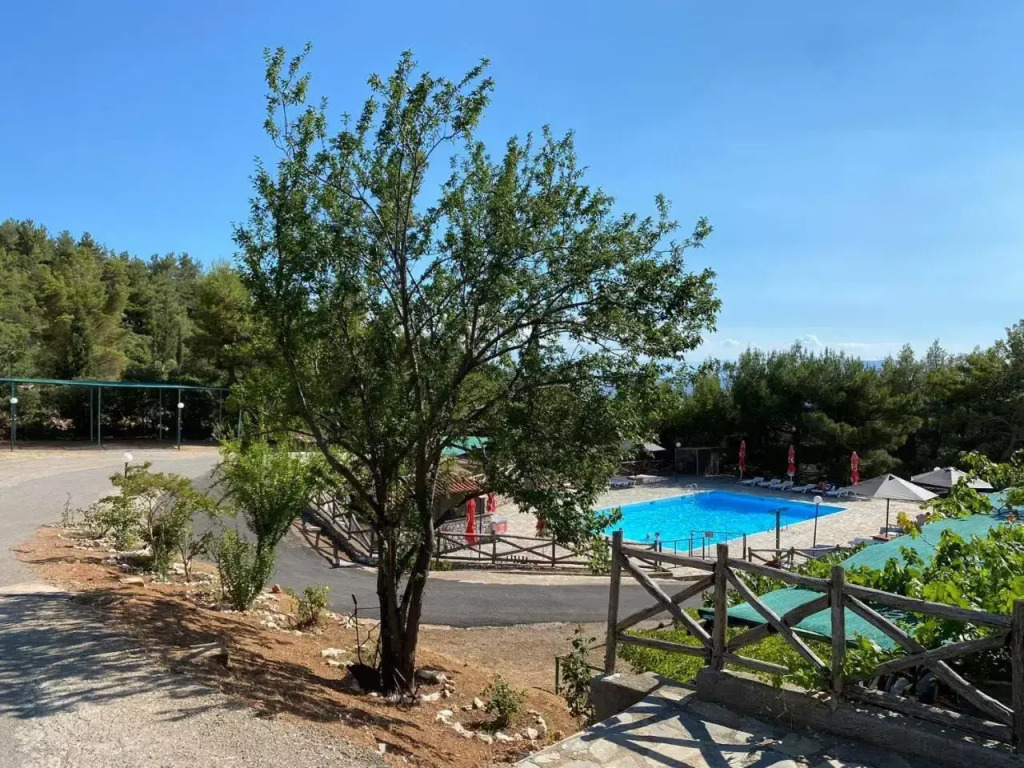 Apollon Camping Delphi