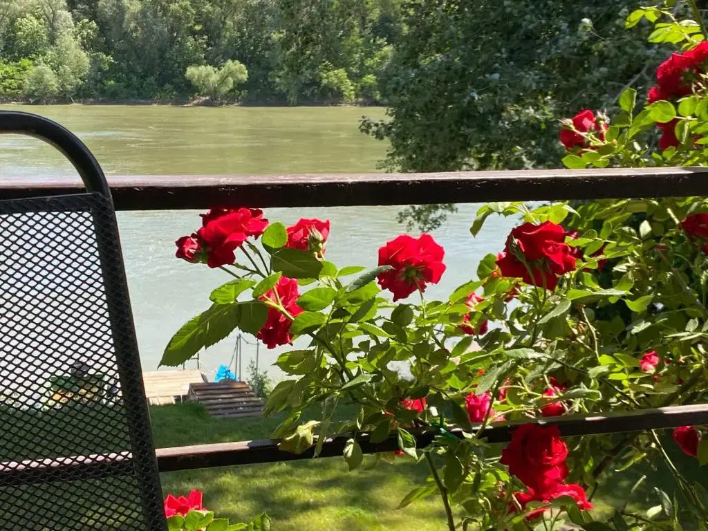 Aqua Bella Apartman
