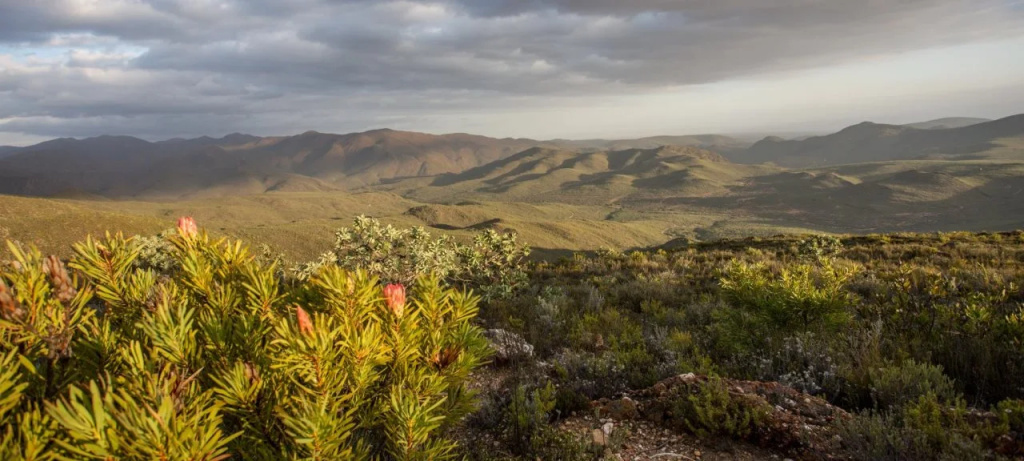 Wildehondekloof Game Lodge