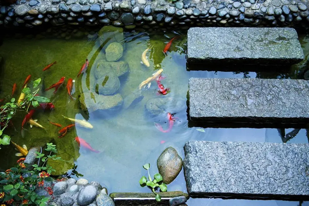 Dali Ziqing Guest House