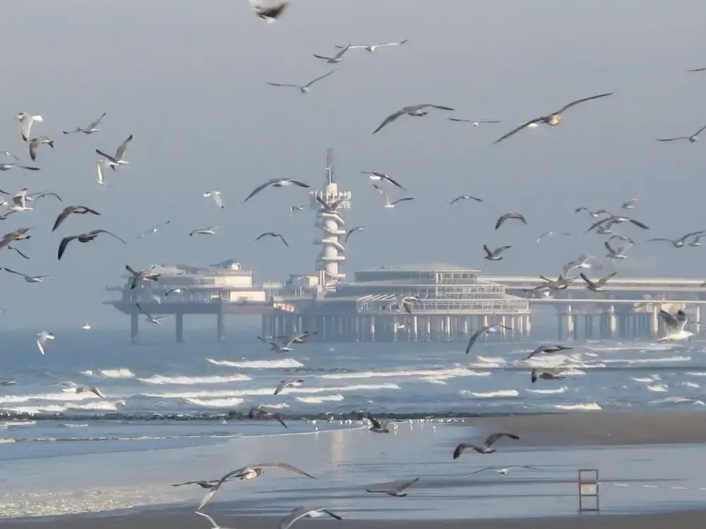 Curated apartment near Scheveningen beach