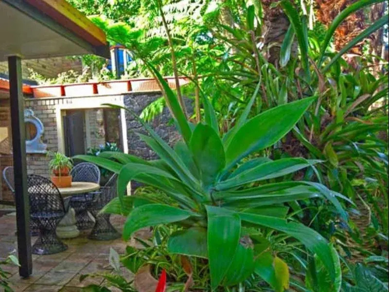 Sandals Guest House