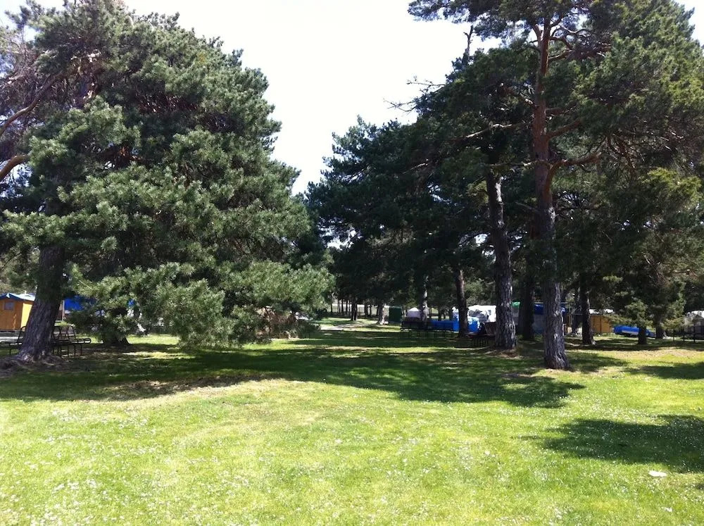 Camping El Concurso