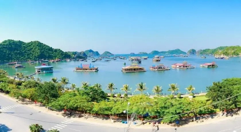 Manh Vuong Hotel CatBa