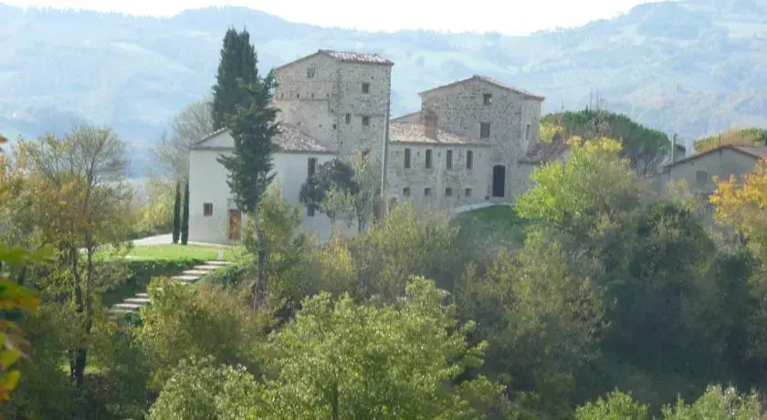 Vaccaria