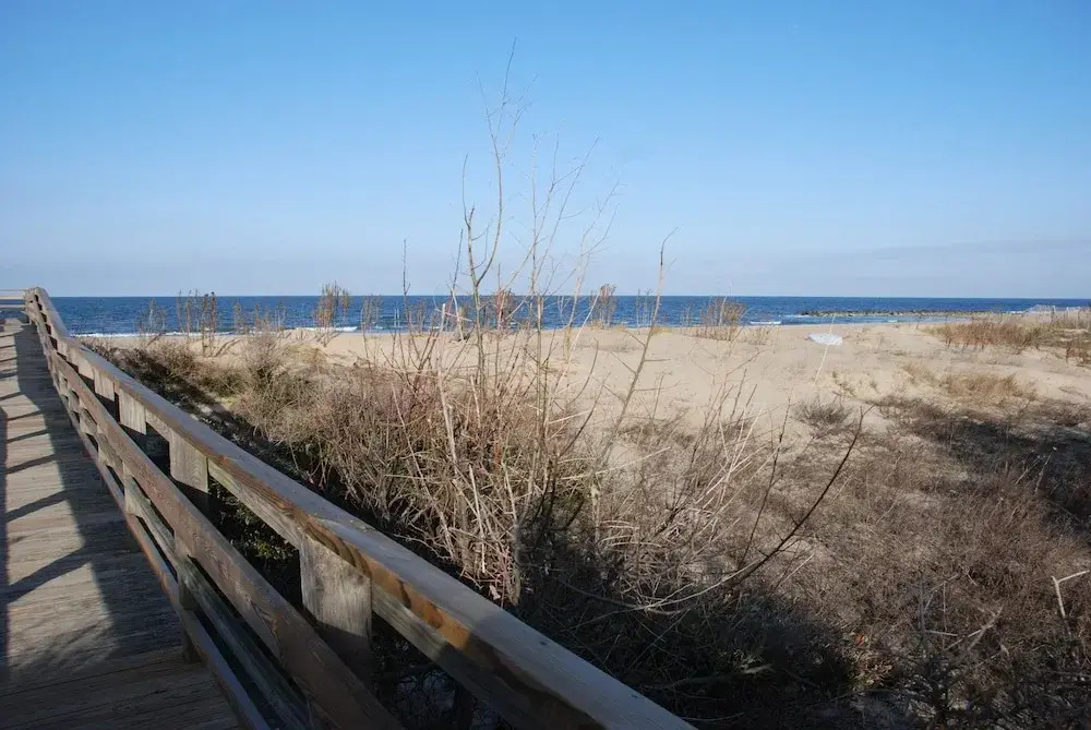 Historic Beach Side Getaway - Pet Friendly, Wifi 3 Bedroom Cottage by RedAwning