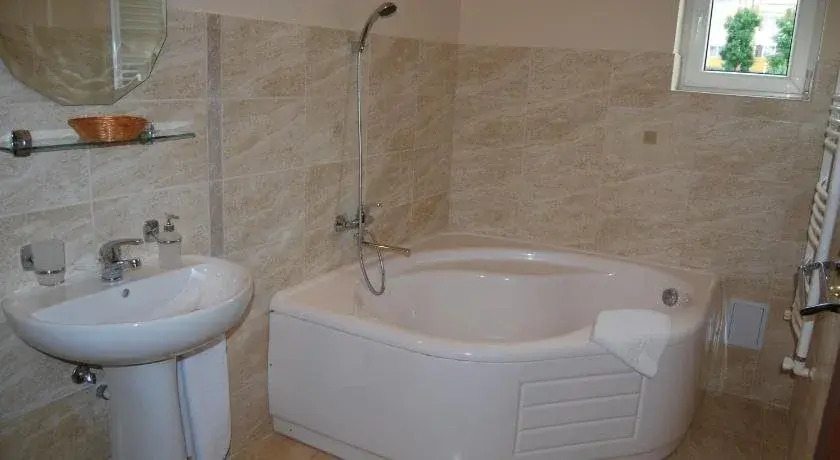 Hostel Paltinis